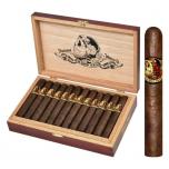 Sweet Jane 5x46 24' 177798 2024