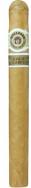 Macanudo - Gold Ascot