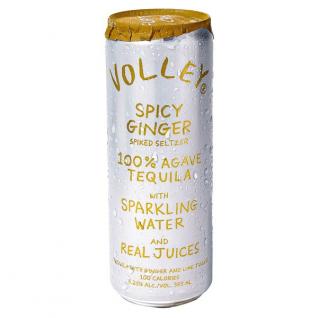 Volley Spiked Seltzer Spicy Ginger Can (355ml can)