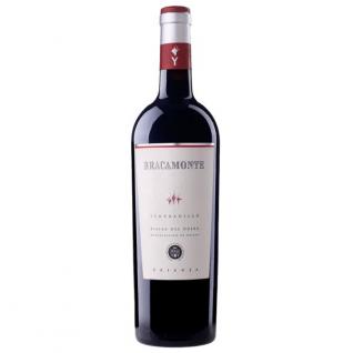 Bracamonte Tempranillo Crianza Riviera D 2014