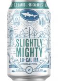Dogfish Head - Slightly Mighty LoCal IPA (12 pack 12oz bottles)